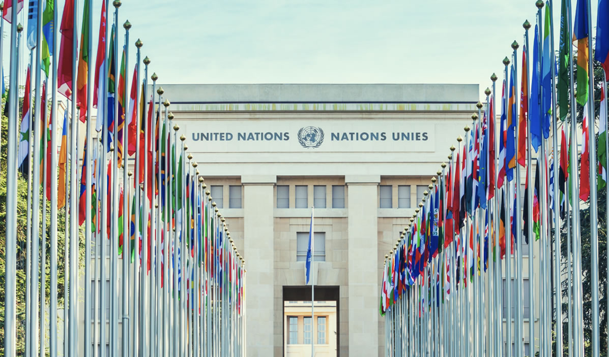 Organización de las Naciones Unidas