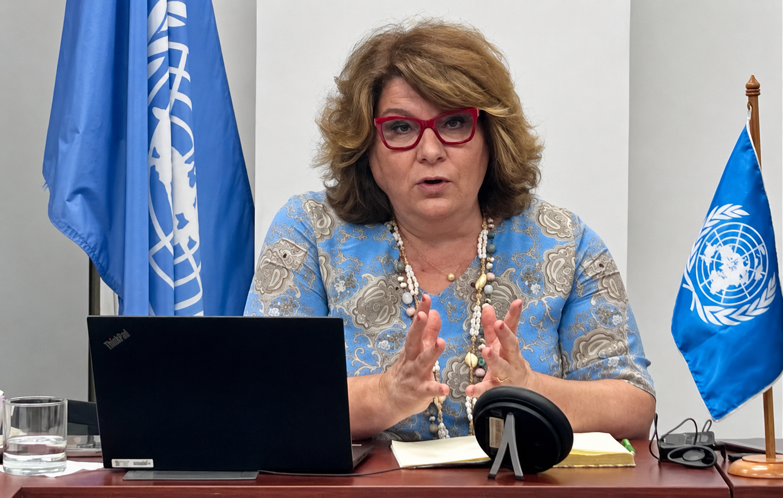 Alexandra Xanthaki, relatora especial de la Organización de las Naciones Unidas sobre los Derechos Culturales.